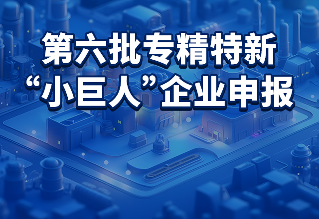 工业和信息化部办公厅关于开展第六批专精特新&ldquo;小巨人&rdquo;企业培育和第三批专精特新&ldquo;小巨人&rdquo;企业复核工作的通知