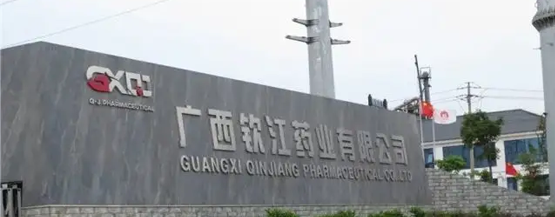 广西钦江药业有限公司