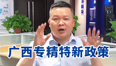 广西专精特新政策